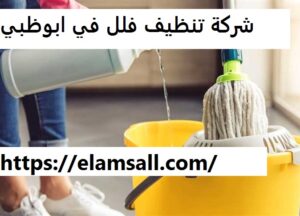 شركة تنظيف فلل في ابوظبي